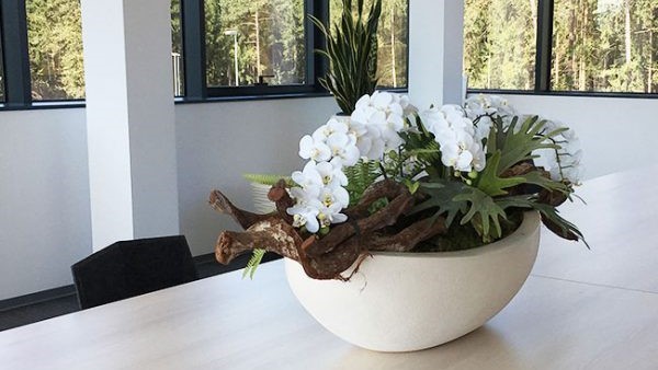 Plastične tegle za cvijeće su idealne za uzgajanje u stanu